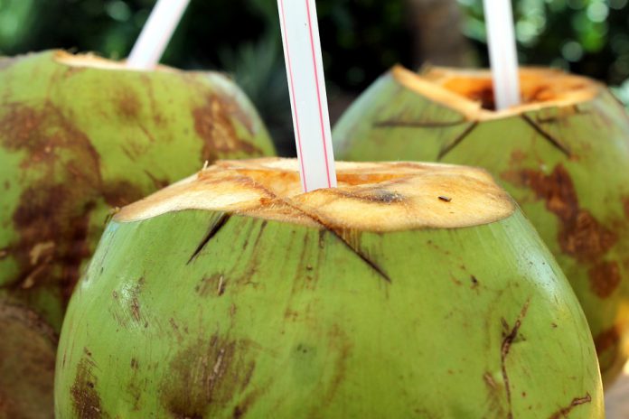 ประโยชน์ของน้ำมะพร้าว (Coconut Water)